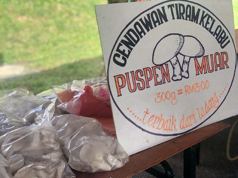 GAMBAR 1 JUALAN PUSPEN