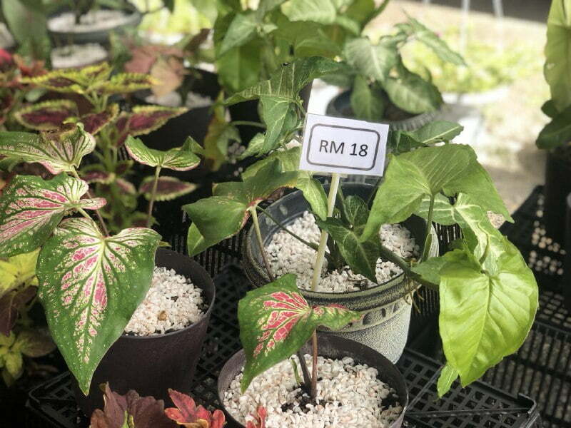 GAMBAR JUALAN PUSPEN (2)