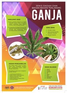 ganja