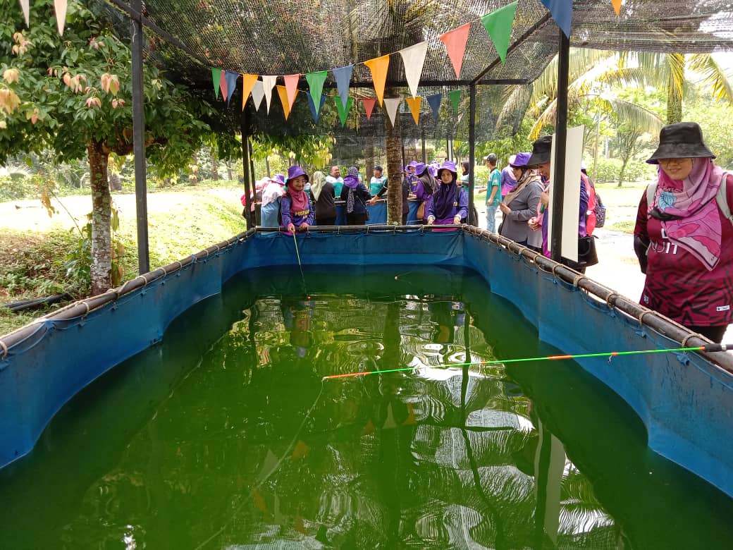 RAWANG FRUIT VALLEY 8 ogos 2023